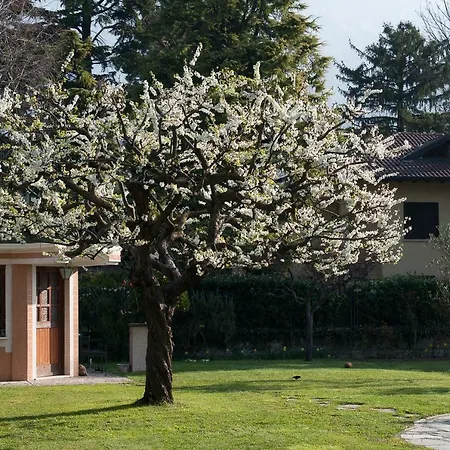 Tatil Evi Casetta Del Molo *